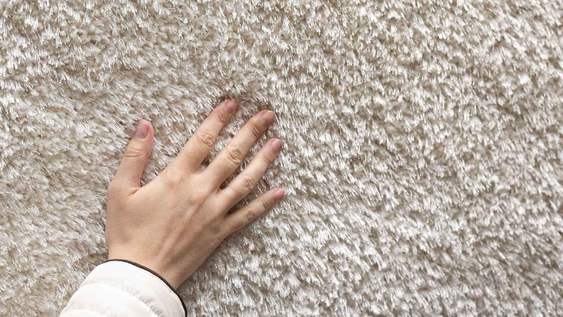remove moulds from carpets