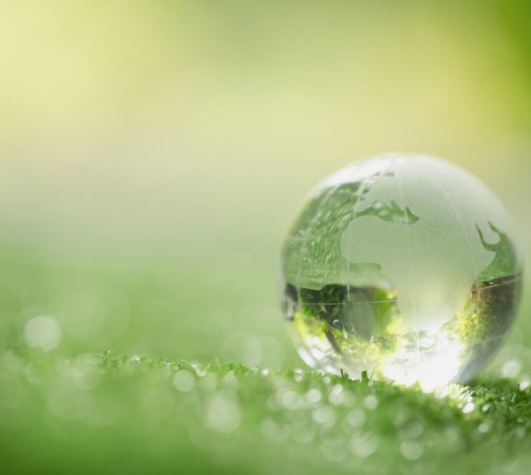 close-up-crystal-globe-resting-grass-forest